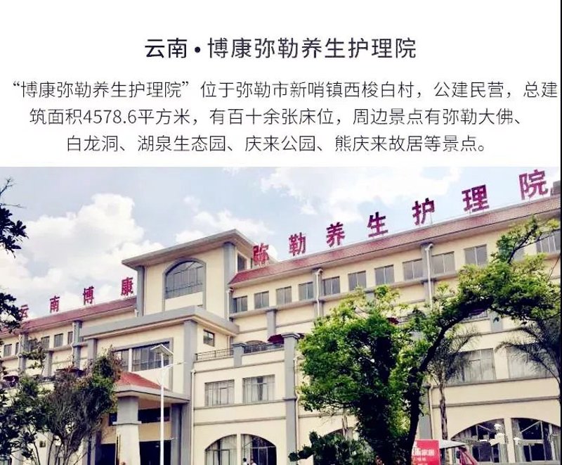 980元建网站：轻松跨越互联网门槛的利器